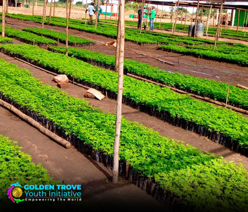 Environ Mental Action (Tree Planting) - Golden Trove Youth Initiative Focus Areas