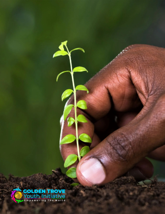Tree Planting - Golden Trove Youth Initiative (GTYI)